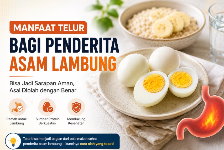 Manfaat Telur bagi Penderita Asam Lambung