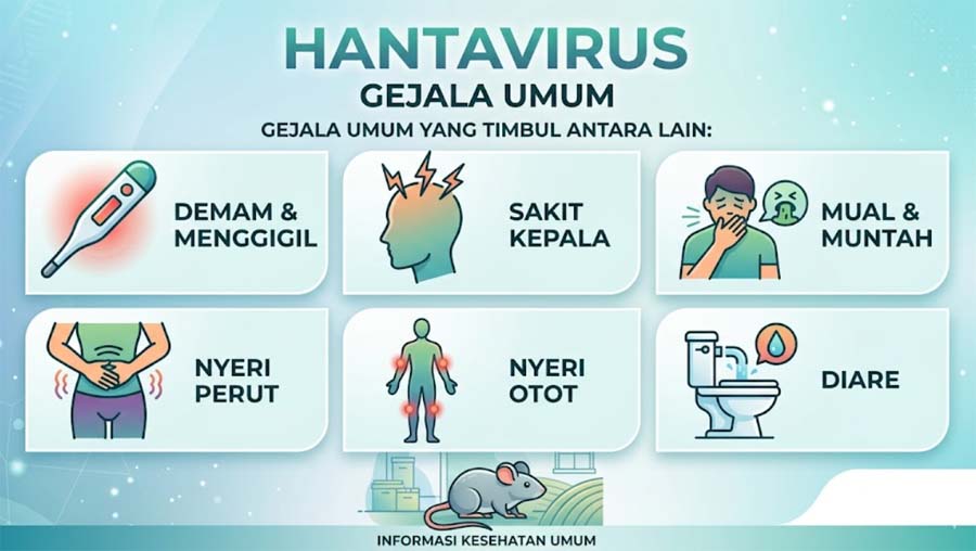 apa itu penyakit hantavirus