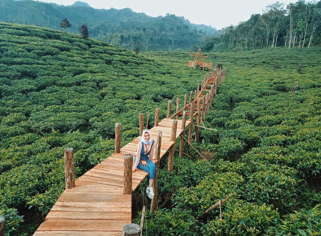 Wisata Alam Jember Selalu Berikan Kesan Unik Berita Utama