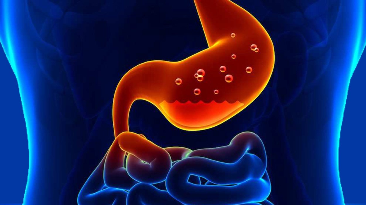 Mengenal Fungsi Asam Lambung Pada Pencernaan Manusia