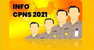 PENDAFTARAN CPNS 2021 online