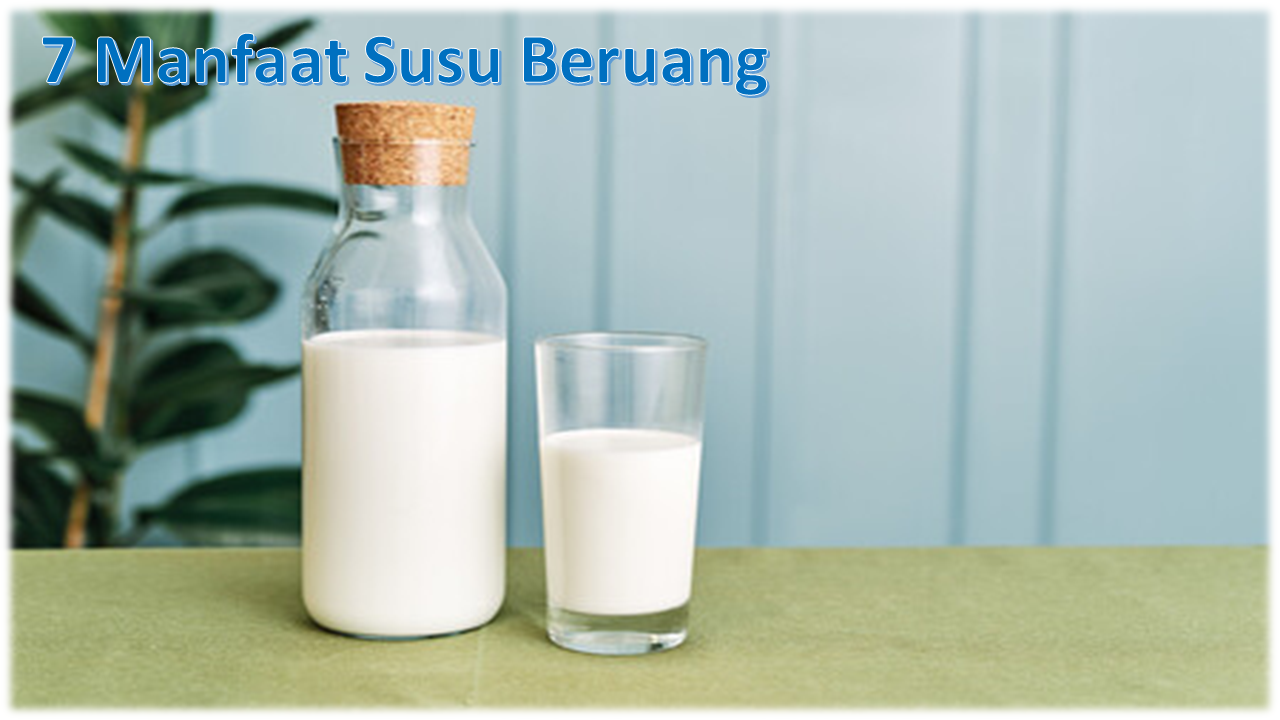 7 Manfaat Susu Beruang Bagi Tubuh | Berita Utama