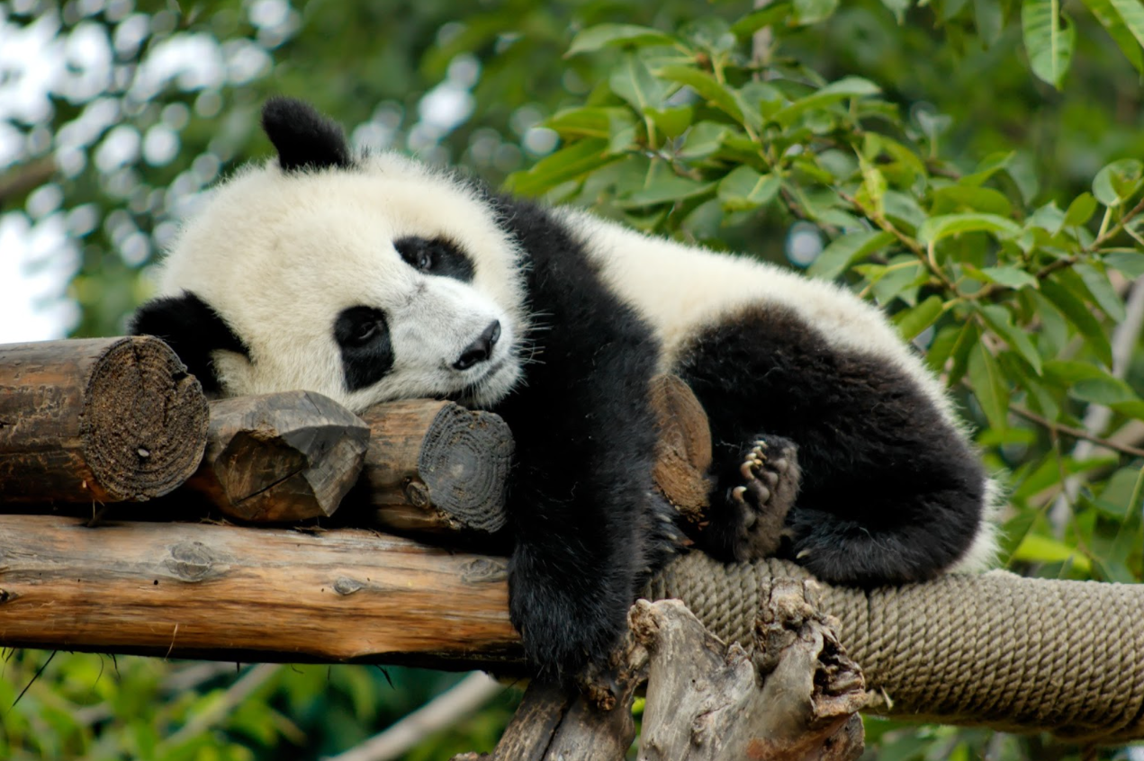 8 Tips Memotivasi Diri Dari Rasa Malas Anda