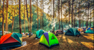 Bagaimana menemukan tenda terbaik untuk berkemah