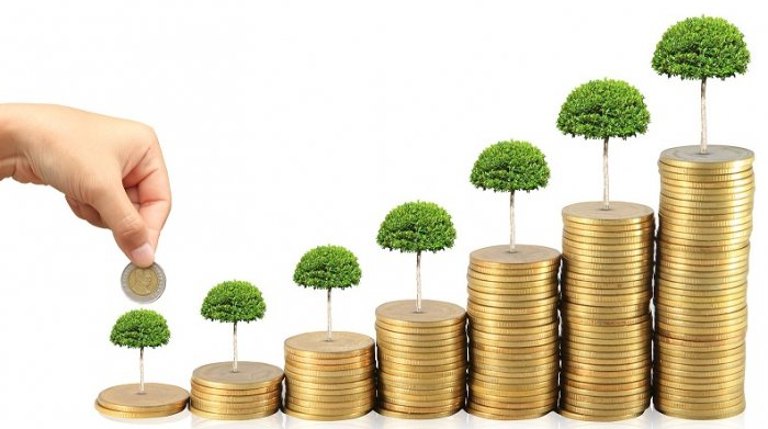 Semua yang perlu Anda ketahui tentang investasi