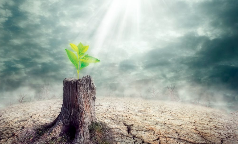 Apa arti sebenarnya dari istilah Dopious?