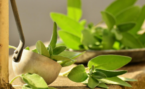 Pengobatan di Rumah Alami untuk Sakit Tenggorokan