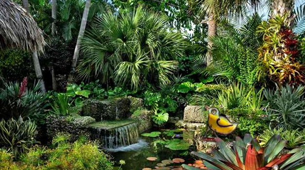 Tips Untuk Membuat Taman Tropis