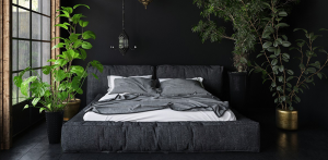 Tanaman Dalam Ruangan yang Dapat Membantu Anda Tidur Lebih Baik