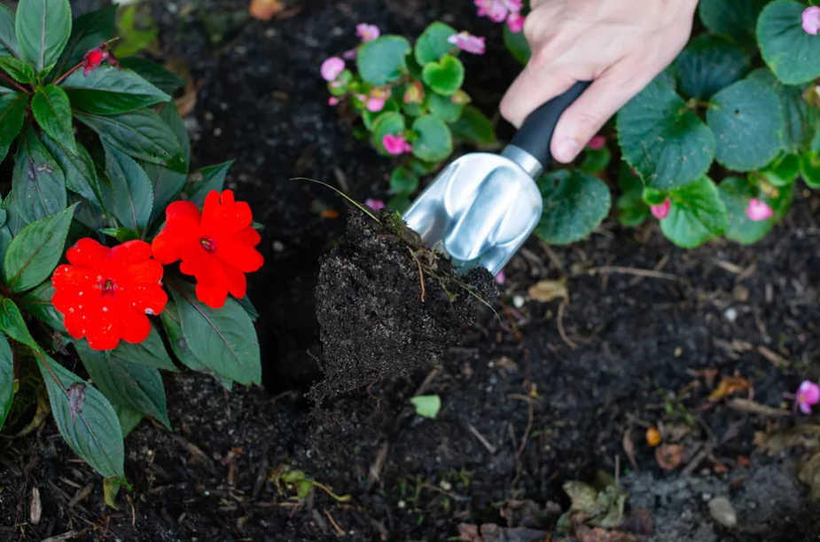 Cara Menguji pH Tanah