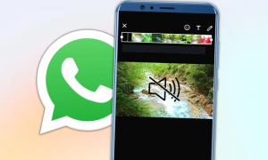 Cara Mengirim Video Di WhatsApp Tanpa Suara