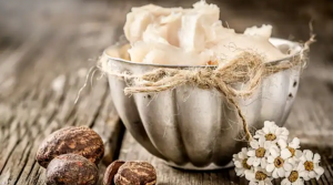 Alasan Ini Akan Meyakinkan Anda Untuk Menambahkan Shea Butter Dalam Rutinitas Perawatan Kulit Anda