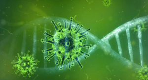 Infeksi Virus Corona Memacu Antibodi Terhadap Flu Biasa