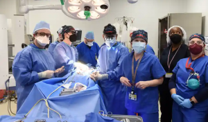 Virus Yang Ditemukan di Jantung Babi Ditransplantasikan ke Manusia