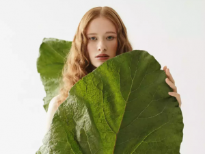 Industri kecantikan bergeser dari produk yang berfokus pada masalah menjadi produk yang berfokus pada bahan