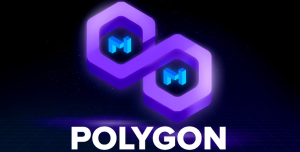 Apa Perbedaan Antara Ethereum dan Polygon?