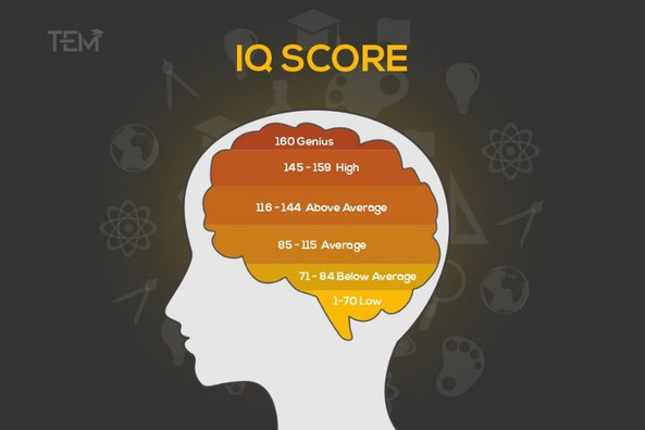 Apa yang dilakukan orang dengan tingkat IQ tertinggi?