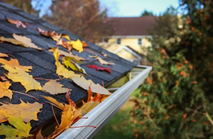 Tips Perawatan Atap Untuk Menjaga Atap Anda Dalam Bentuk Tip Top