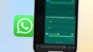 Cara Membuat Polling Di WhatsApp