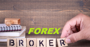 Memahami Broker Forex Dan Cara memilih