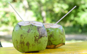 Manfaat Air Kelapa Bagi Kesehatan Menurut Ahli Gizi
