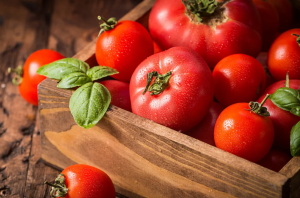 Menyimpan Tomat Segar Lebih Lama