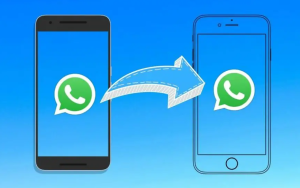 Cara Transfer Data WhatsApp dari HP Android ke iPhone