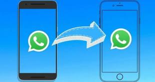 Transfer Data WhatsApp dari HP Android ke iPhone