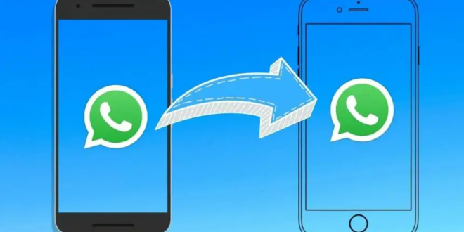 Transfer Data WhatsApp dari HP Android ke iPhone