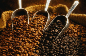 Cara Memilih Biji Kopi yang Berkualitas