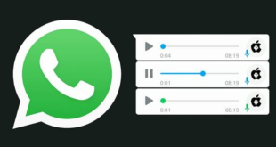 Cara Menyimpan File Audio dari WhatsApp