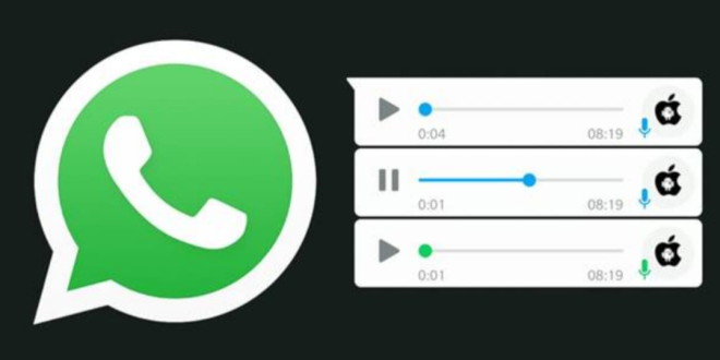 Cara Menyimpan File Audio dari WhatsApp