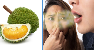 Tips Menghilangkan Bau setelah Makan Durian