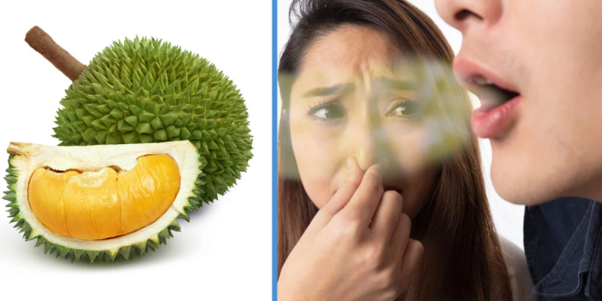 Tips Menghilangkan Bau setelah Makan Durian