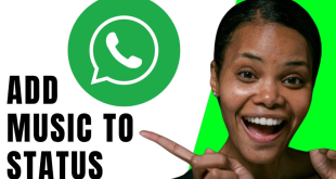 Cara Buat Status dengan Musik di Whatsapp