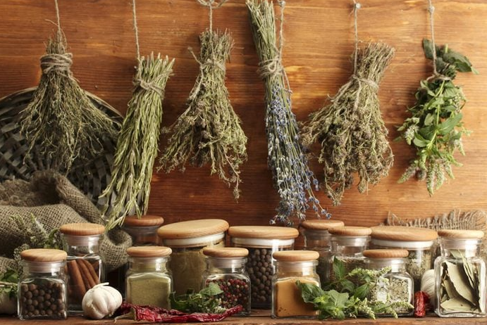 Cara Mengeringkan Daun Tanaman Herbal