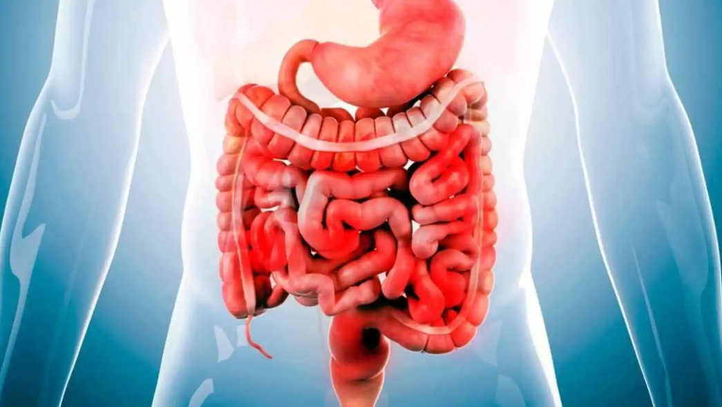 Cara Kerja Enzim dalam Tubuh Manusia