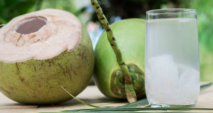 Manfaat Berbuka Puasa dengan Air Kelapa