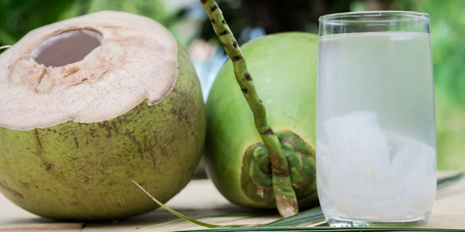 Manfaat Berbuka Puasa dengan Air Kelapa