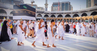 Cara Cek Keberangkatan Haji Secara Online