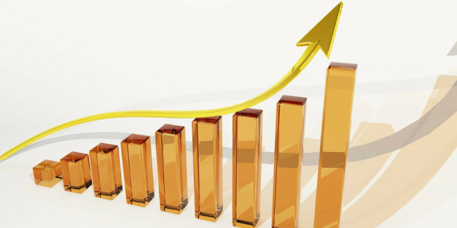 Memahami Omzet vs Profit dan Implikasinya dalam Bisnis