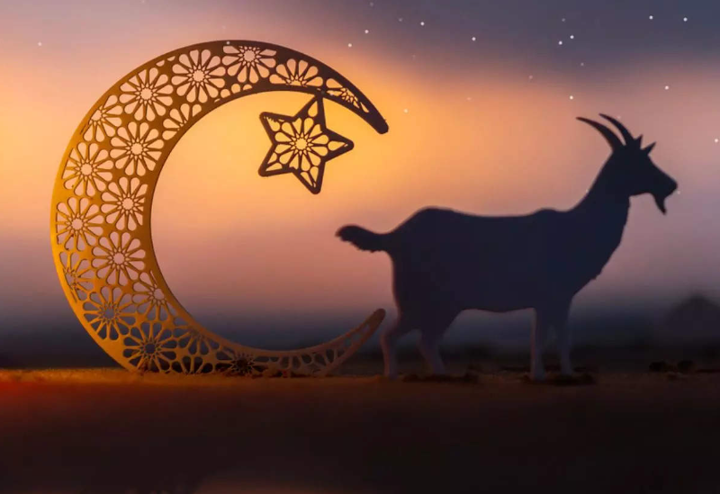 Syarat Orang yang Mau Berkurban Idul Adha