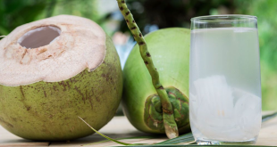 Manfaat Kesehatan Minum Air Kelapa Setiap Hari