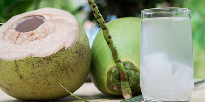 Manfaat Kesehatan Minum Air Kelapa Setiap Hari