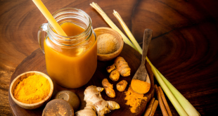 Jenis Jamu Tradisional Khas Indonesia yang Populer