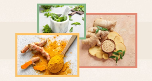 Herbal yang Dapat Membantu Meningkatkan Kekebalan Tubuh