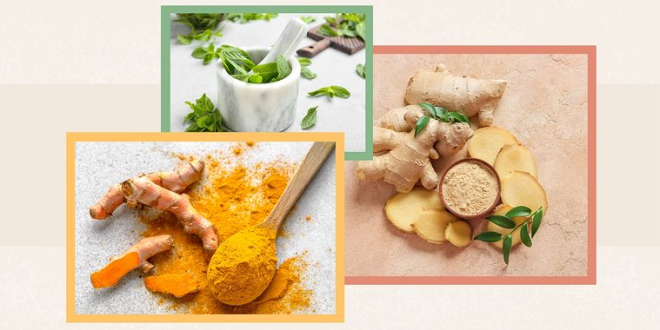 Herbal yang Dapat Membantu Meningkatkan Kekebalan Tubuh