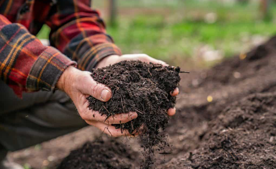 Cara Membuat Kompos Sederhana dan Cepat