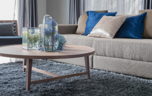 Tips Memilih Karpet untuk Ruang Tamu