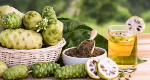 Khasiat Jus Mengkudu Bagi Kesehatan Tubuh